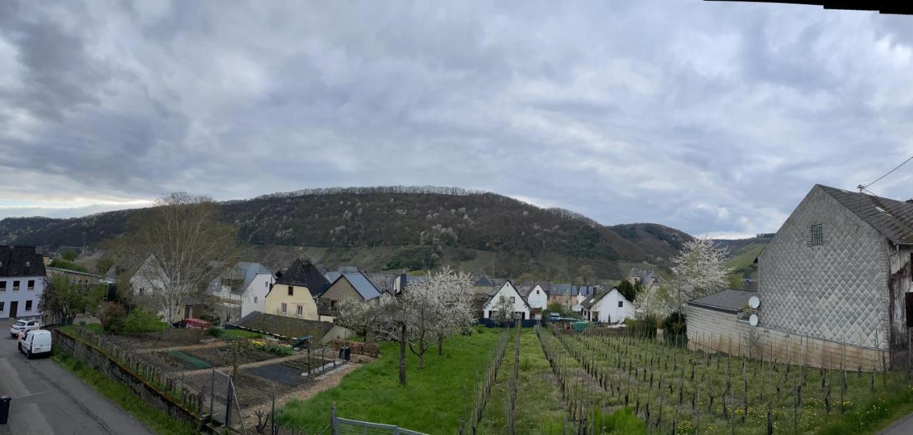 Ferienwohnung " Wein Unter Palmen " Neumagen-Dhron Exterior foto